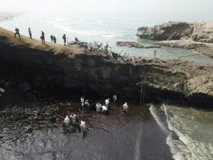 « Urgence environnementale » au Pérou après la marée noire sur ses côtes