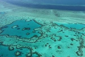 700 millions de dollars pour protéger la Grande barrière de corail ?