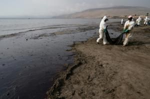 Au Pérou, le désespoir des pêcheurs artisanaux face à la marée noire