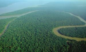 Vue aérienne de la forêt amazonienne (Wikimedia Commons)