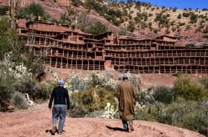 Au Maroc, le plus ancien rucher au monde déserté par les abeilles 