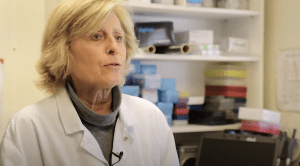 L’immunologue Brigitte Autran présidera le nouveau comité des risques sanitaires
