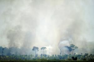 Brésil : les surfaces incendiées auraient doublé en un an