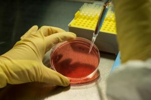 Des scientifiques appellent à la prudence envers les biotechnologies génétiques