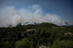 La Grèce frappée par « le plus grand incendie jamais enregistré dans l’UE »