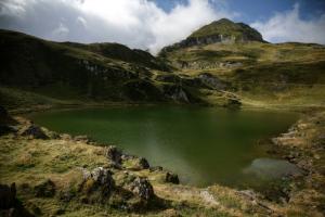 Pyrénées : les lacs montagnards verdissent et des poissons sont désignés coupables 