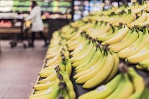 La banane la plus populaire du monde pourrait-elle bientôt disparaître ? 