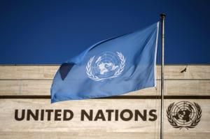 Brevets : accord à l’ONU sur un traité pour lutter contre la biopiraterie
