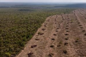 Brésil : la déforestation progresse dans le Cerrado et dépasse pour la première fois celle de l’Amazonie 