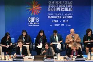 COP16 biodiversité : l&#039;accord financier tant attendu arraché de justesse à Rome