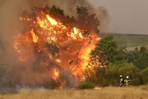 En pleine canicule, l&#039;Europe en surchauffe lutte contre les feux