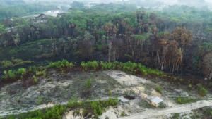 Brésil : la forêt amazonienne amputée d&#039;une surface équivalente à l&#039;Espagne en 40 ans 