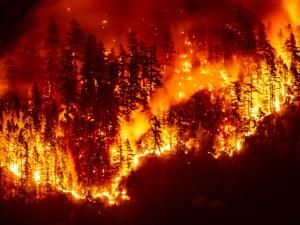 Les feux de forêt détériorent la qualité de l’air à des milliers de kilomètres, selon l’ONU 