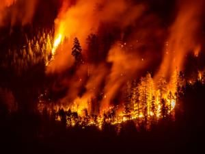 Des milliers de morts après les incendies géants au Canada en 2023, jusqu&#039;en Europe