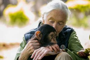 Jane Goodall, ambassadrice des chimpanzés et militante de la nature, s’éteint à 91 ans