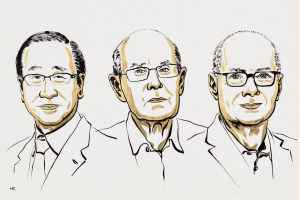 3 lauréats se partagent le Prix Nobel de Chimie 2025 pour le développement des structures organométalliques