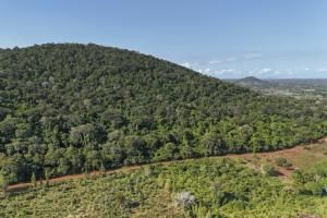 Au Kenya, cinq petits villages et une forêt au cœur de la course mondiale aux terres rares 