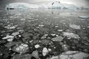 La banquise antarctique atteint son troisième plus bas niveau en un demi-siècle 