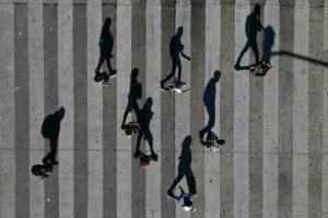 En marchant, les humains bougent plus que tous les animaux sauvages terrestres