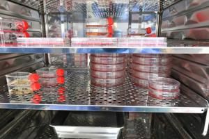 Cancers, immunité : les promesses de l’ARN messager dans un laboratoire d’Orléans