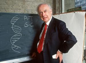 James Watson, pionnier de l&#039;ADN à la réputation ternie 