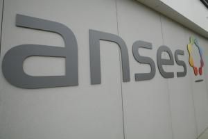 Exposition au cadmium : l'alimentation cause principale, priorité à la décontamination des sols agricoles 