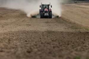 Cadmium : la dépollution complexe des sols agricoles