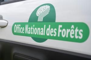 Forêt : neuf réserves biologiques créées ou étendues en France pour sauvegarder la biodiversité