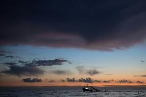 Le changement climatique, principal moteur de la surchauffe des mers européennes
