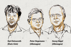 Le Nobel de médecine récompense un trio américano-allemand pour leurs travaux sur la mémoire 