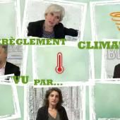 Voir la vidéo de Le dérèglement climatique : l&#039;Homme responsable du réchauffement ?