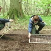 Voir la vidéo de Petits carreaux