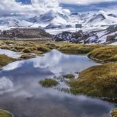 Voir la vidéo de Les écosystèmes de l’Altiplano