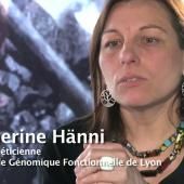 Voir la vidéo de Catherine Hänni : sur la trace du génome de nos ancêtres