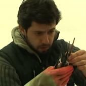 Voir la vidéo de Quel est donc ce poisson ?