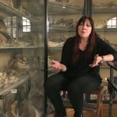 Voir la vidéo de Marylène Patou-Mathis : un nouveau regard sur Neandertal