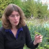 Voir la vidéo de Valerie Domcke aux origines de l&#039;Univers