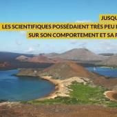 Voir la vidéo de A l&#039;écoute des ondes sismiques