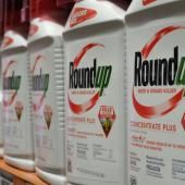 Procès Roundup : Monsanto condamné à payer plus de 80 millions de dollars