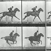 Voir la vidéo de Figer le mouvement : Marey et Muybridge entre Art et Science