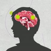 Voir la vidéo de « Nous n’utilisons que 10 % de notre cerveau ?! »