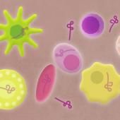 See video of Ebola