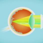 Voir la vidéo de Fonctionnement de l&#039;oeil