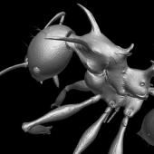 De nouvelles espèces de fourmis identifiées grâce à l’imagerie 3D