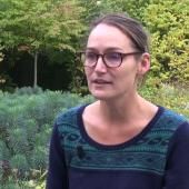 Voir la vidéo de Audrey Hasson et les courants marins