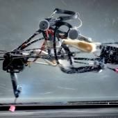 Un robot bolide inspiré de l’autruche