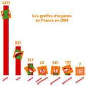 Plan greffe : objectif atteint, et pourtant...