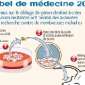 Nobel de médecine 2007 : les souris transgéniques récompensées