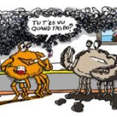 Un rapport controversé : ''Les causes du cancer en France''