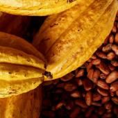 Du chocolat encore meilleur pour la santé 